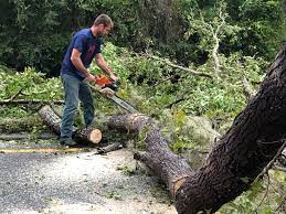  Lowell, NC Tree Removal Services Pros